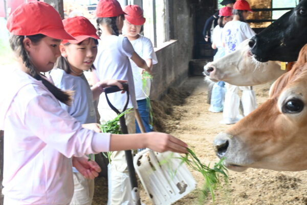 4年生高原学校（富士・西湖方面）